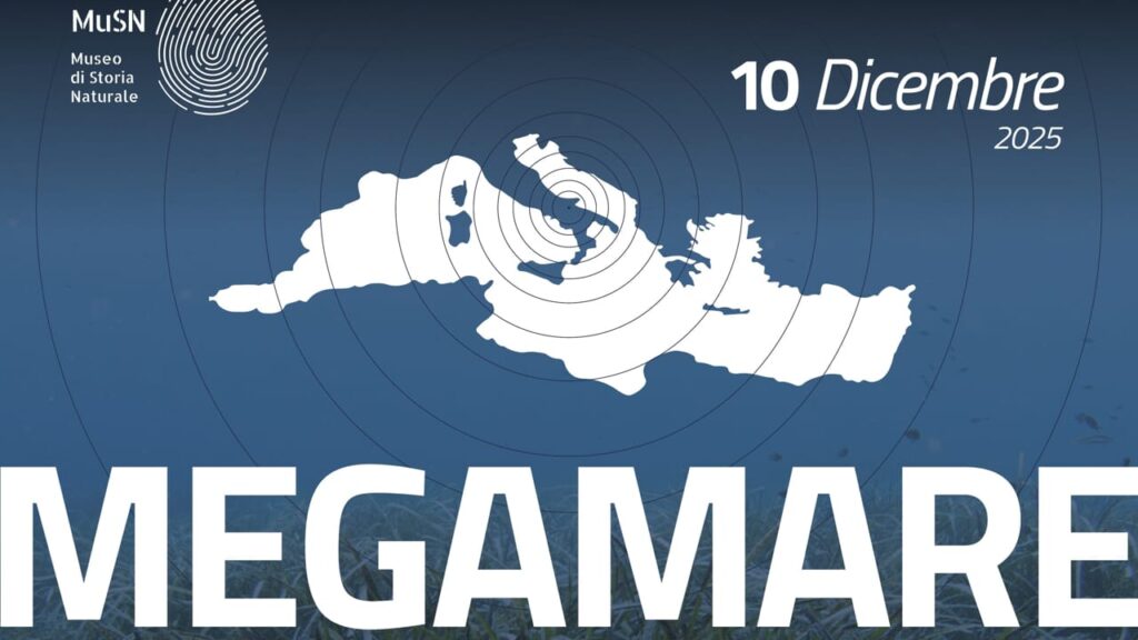 Megamare - la voce del mare